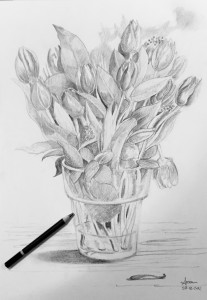 Tulpen schets