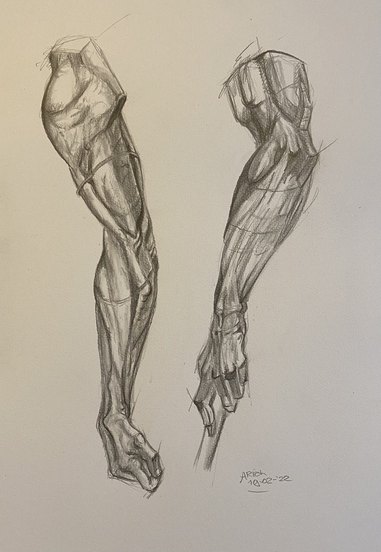 studie potloodschets, arm, anatomie